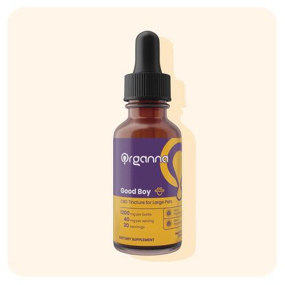 Good Boy Tincture - 30lbs +